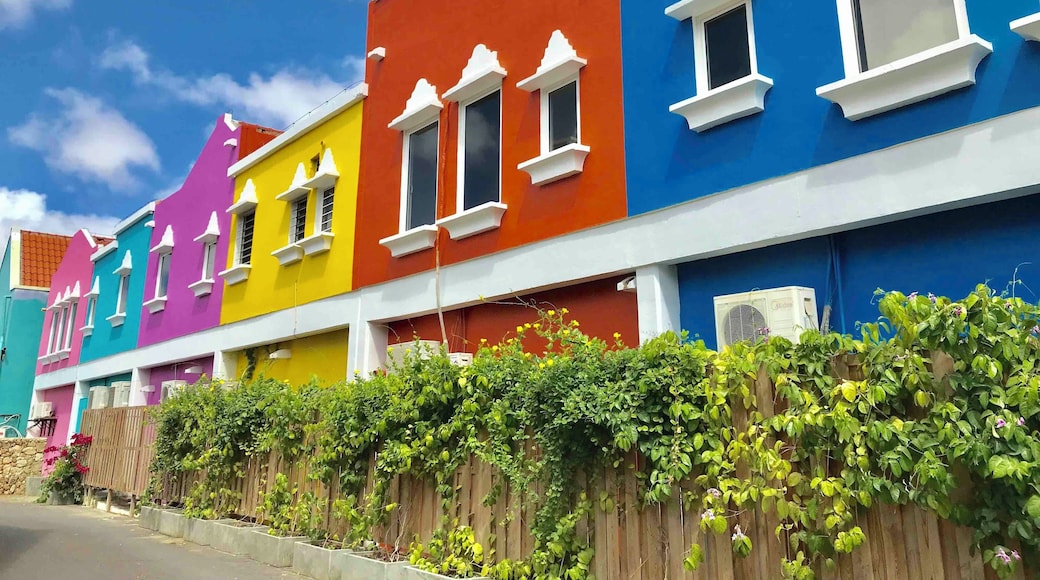 They love their colors on the houses here in #Bonaire
#Perspectives #NetherlandsAntilles
