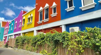 They love their colors on the houses here in #Bonaire
#Perspectives #NetherlandsAntilles