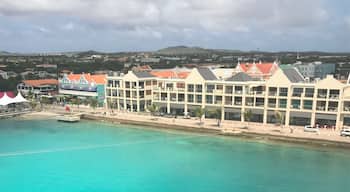 A little slice of Heaven in the Dutch Caribbean. Bonaire is truly beautiful 🇧🇶