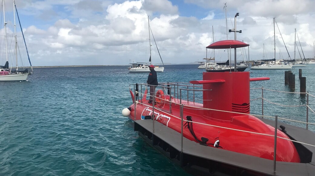 Wonderful experience on Bon Sea Semi Submarine leaving from Karels to the deserted island of Klein Bonaire 🇧🇶
