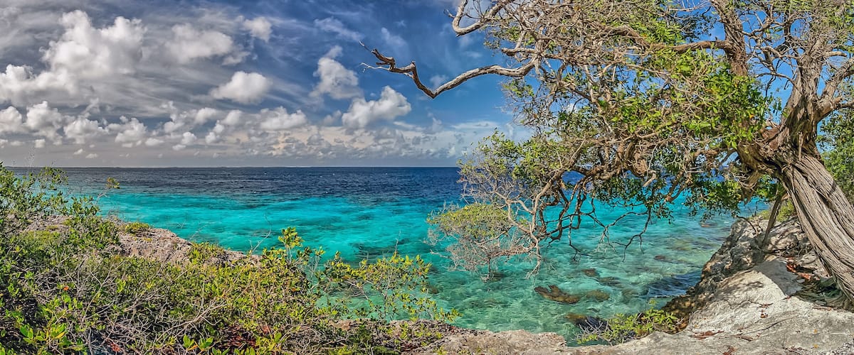 A coastal landscape with clear turquoise waters, rocky outcrops, and a prominent tree with twisted branches.