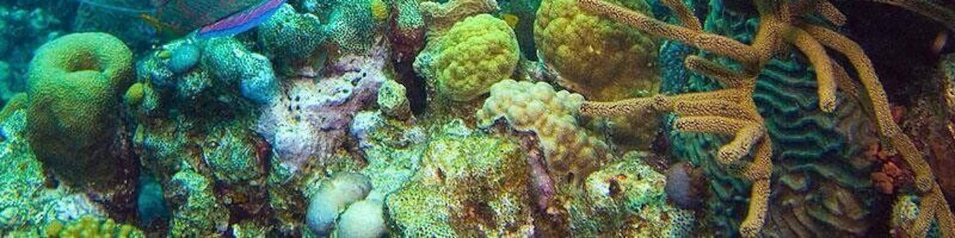 0_963211a4-f837-4974-aafe-3bef823ba245_raw