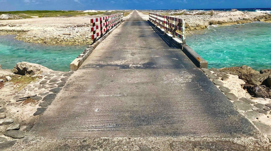 Bonaire’s southern coastal inlet- the Atlantic on the left flows through it to create a saltwater salinas on the right. Not far from the salt flats.
#Perspectives #Bonaire #NetherlandAntilles #DutchIsland ##SouthernCaribbean