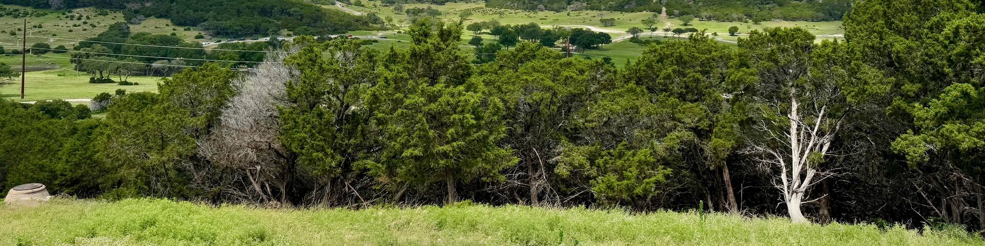 Texas, USA | Fossil Rim Wildlife Center