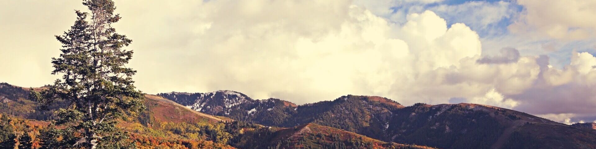 The fall colors in the mountain above Bountiful, Utah are worth exploring.