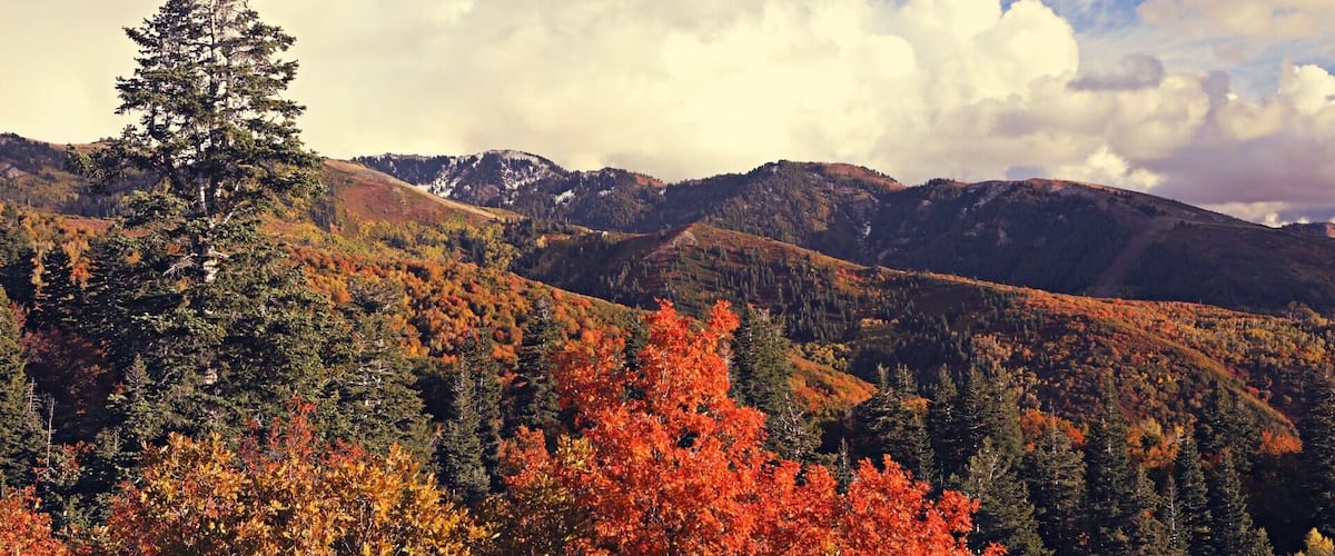 The fall colors in the mountain above Bountiful, Utah are worth exploring.