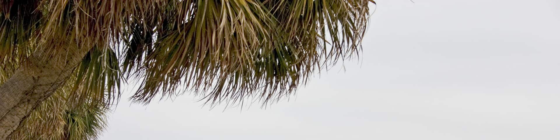 A3WGB1 Docks and boats on Clearwater Harbor of the Gulf Intercoastal Waterway. Indian Rocks Beach Florida USA
