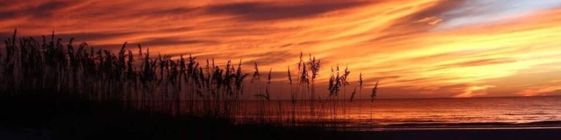 Honeymoon in October