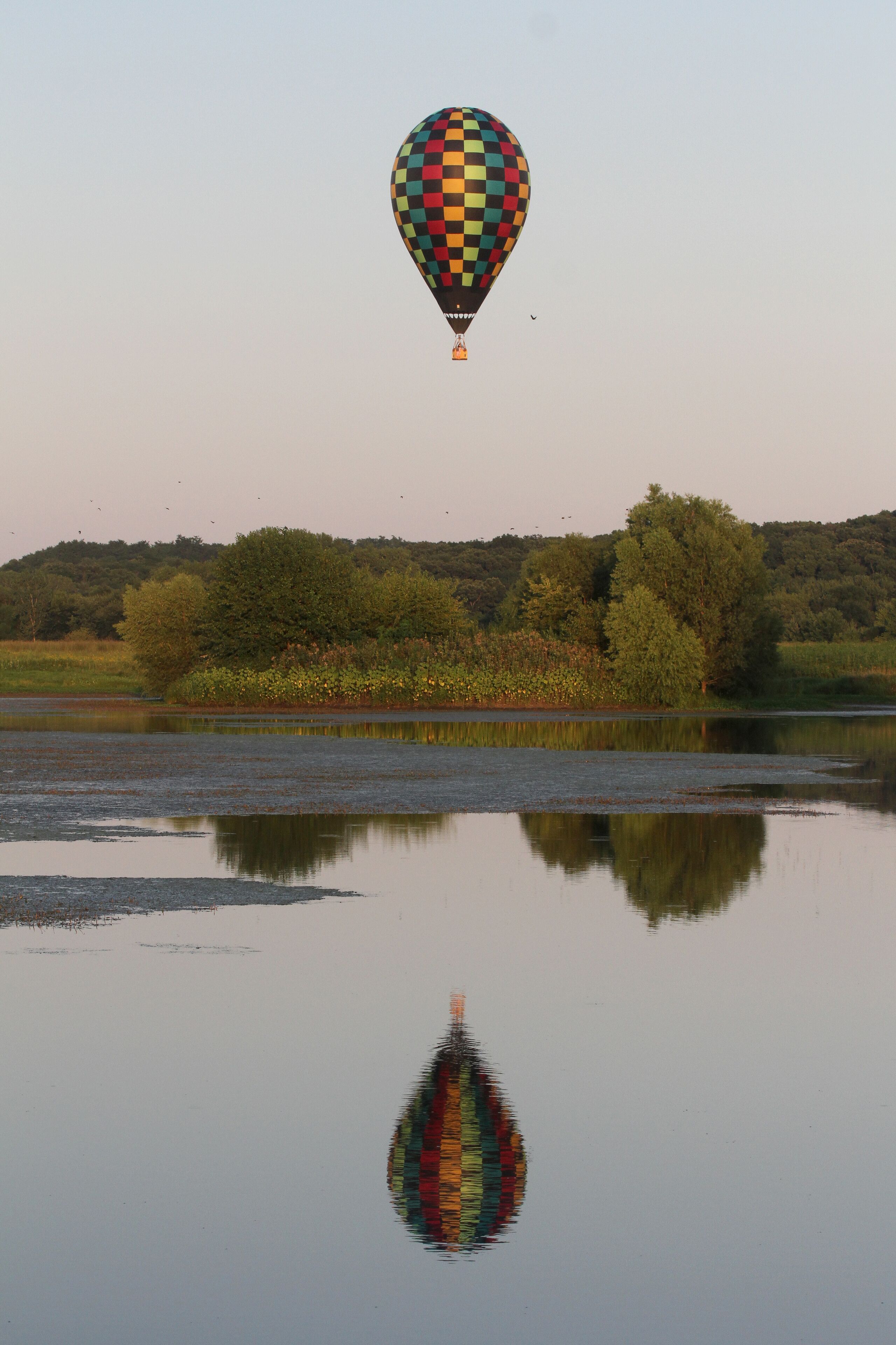 Hot Air Balloon Flies Above Placid Pond