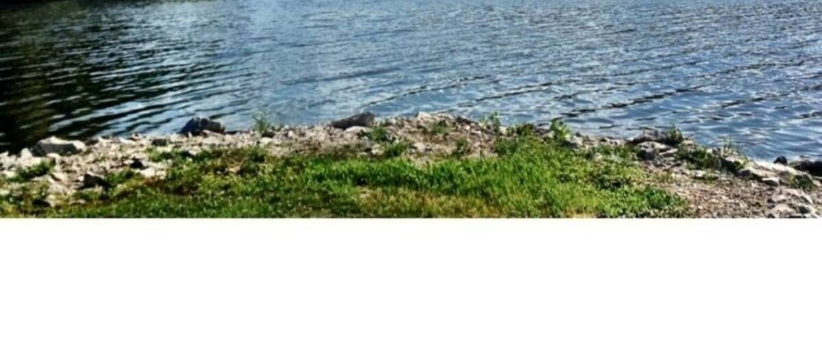 Offers a great spot for canoeing and swimming.