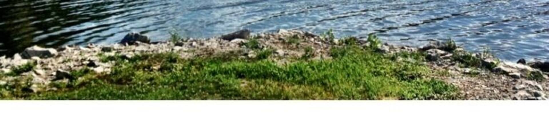 Offers a great spot for canoeing and swimming.