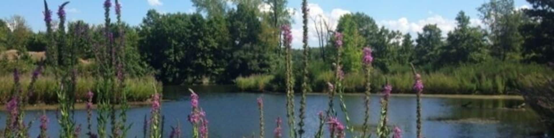 Iowa's newest state park provides plenty of kayaking on the Banner Lakes and off road biking trails.