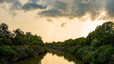 Une rivière paisible, bordée d’une végétation luxuriante, sous un ciel nuageux.