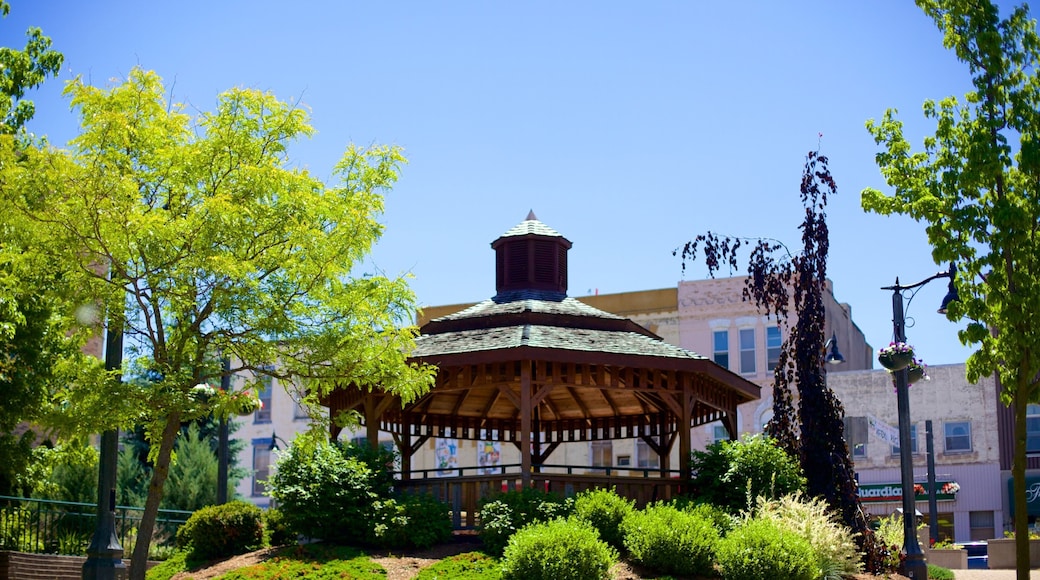 Ingersoll showing a park