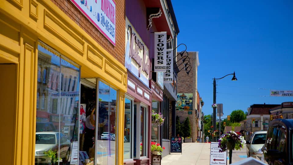 A street with flower shops and a sign for a wedding florist.