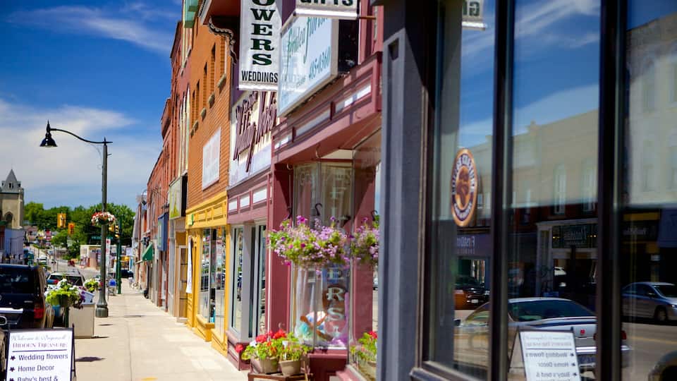A street with various shops, including a flower shop with hanging baskets.
