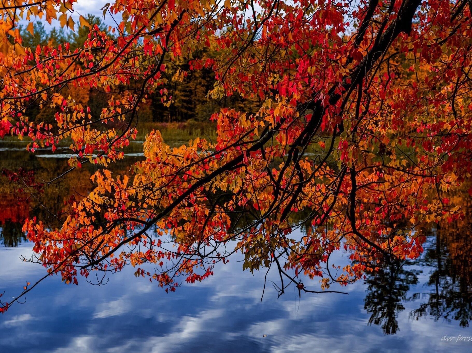 Along the Nashua River