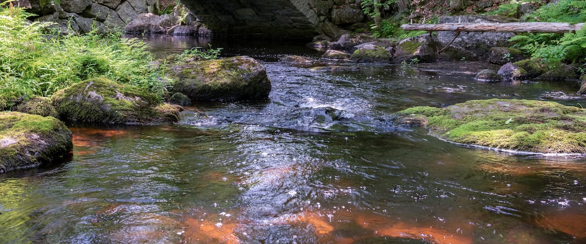old stone arched bridge in woods with brook stream