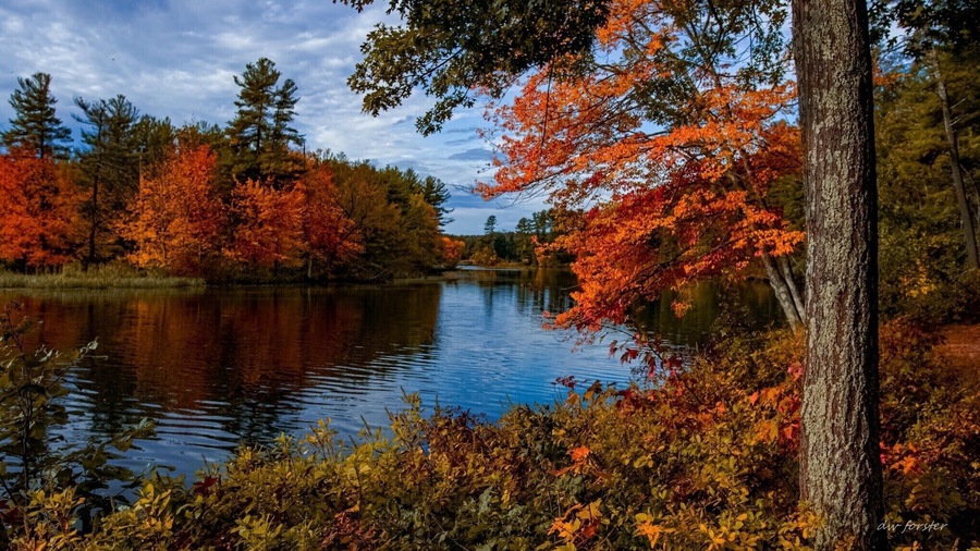 Along the Nashua River