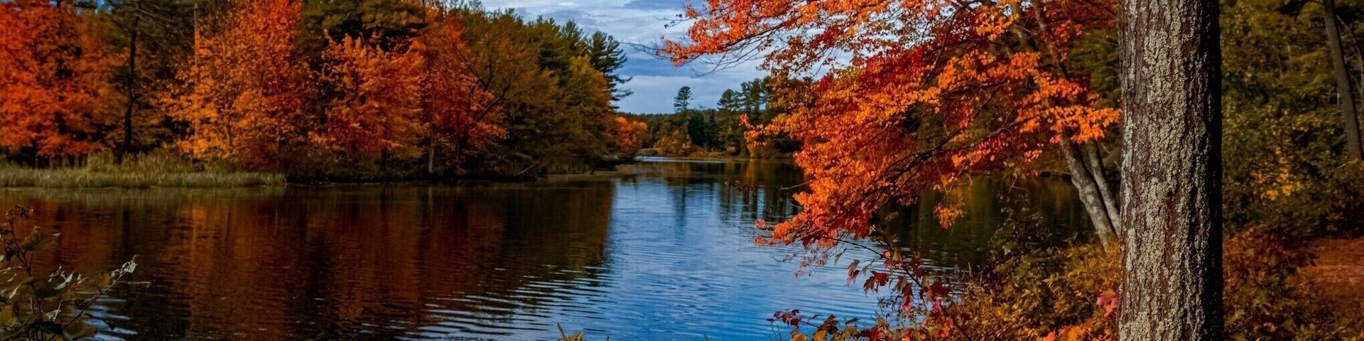 Along the Nashua River