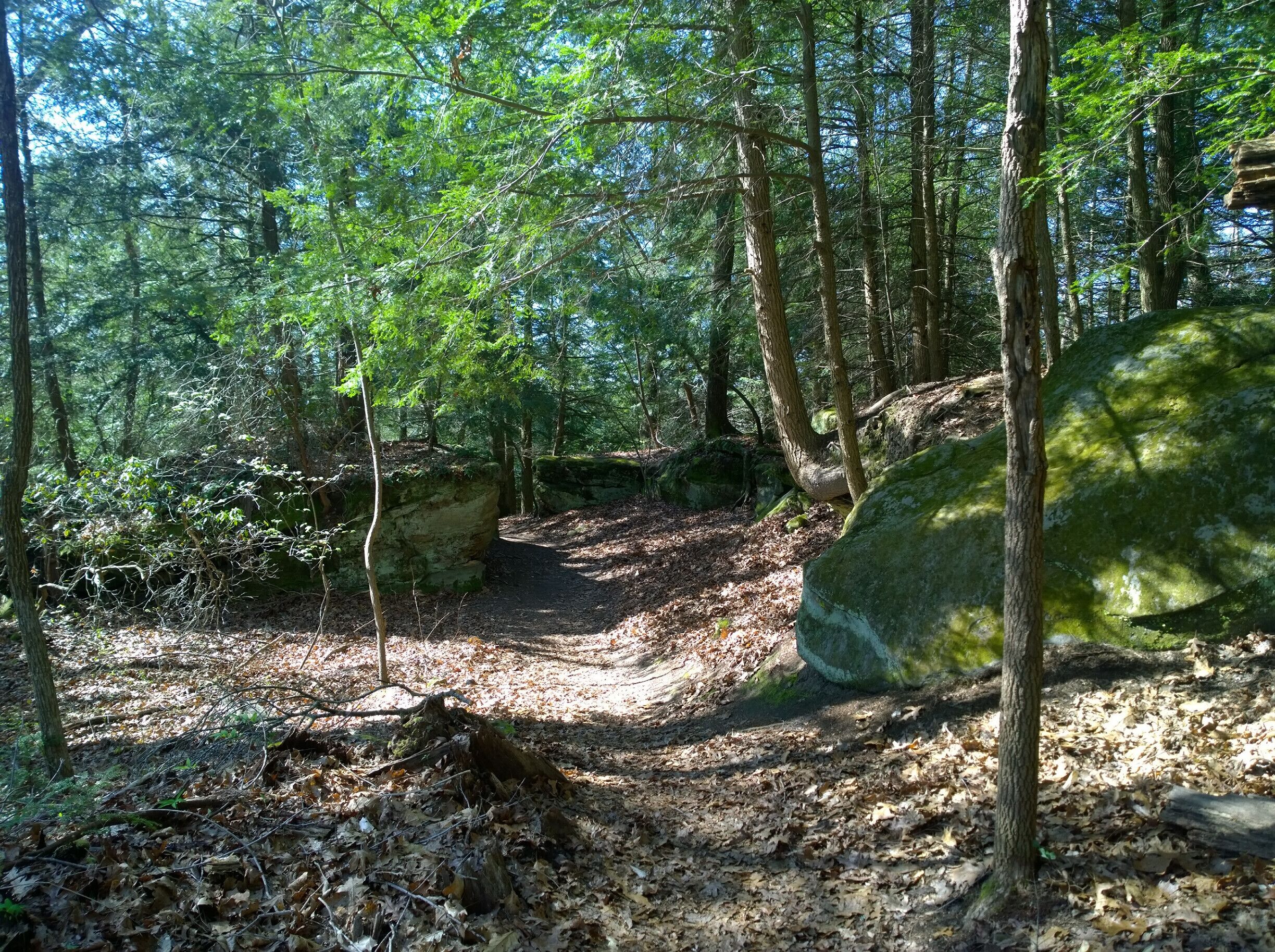 Lake Katharine State Nature Preserve has six miles of hiking trails through its varied terrain, towering sandstone cliffs, big leaf magnolias, eastern hemlock, sweet gum, birch, beech, mountain laurel, Virginia pine and oak. 

The preserve has many native orchids, a diverse spring flora as well as its namesake lake.