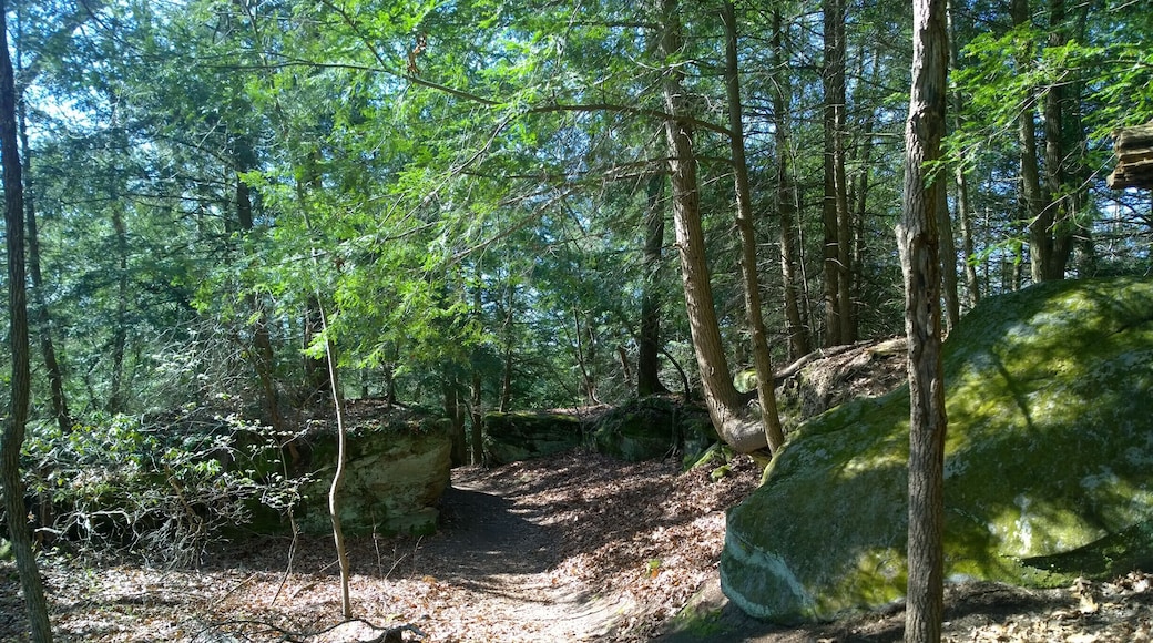 Lake Katharine State Nature Preserve has six miles of hiking trails through its varied terrain, towering sandstone cliffs, big leaf magnolias, eastern hemlock, sweet gum, birch, beech, mountain laurel, Virginia pine and oak.
The preserve has many native orchids, a diverse spring flora as well as its namesake lake.