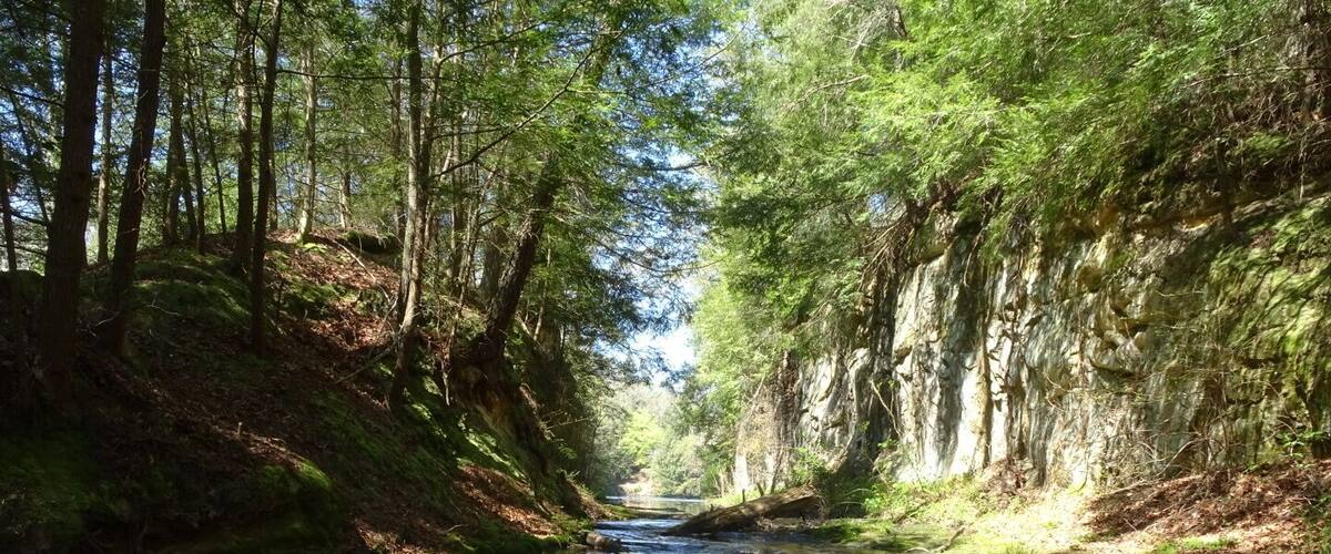 One of the trails comes to a bridge that crosses over a stream and waterfall coming from Lake Katharine.