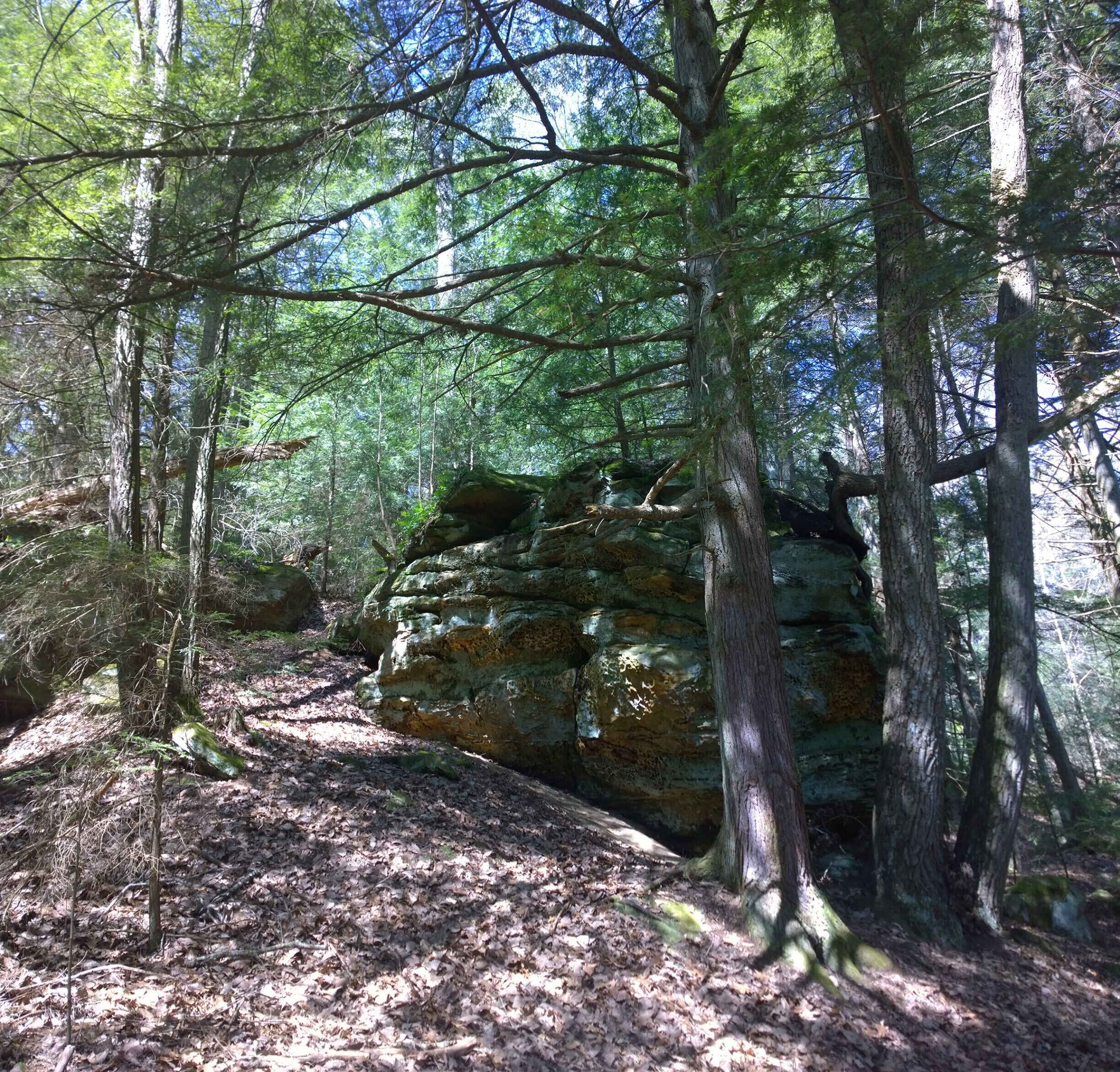 Lake Katharine State Nature Preserve has six miles of hiking trails through its varied terrain, towering sandstone cliffs, big leaf magnolias, eastern hemlock, sweet gum, birch, beech, mountain laurel, Virginia pine and oak. 

The preserve has many native orchids, a diverse spring flora as well as its namesake lake.