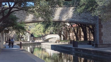 Uma ponte de pedra sobre um canal, rodeada por árvores e edifícios.