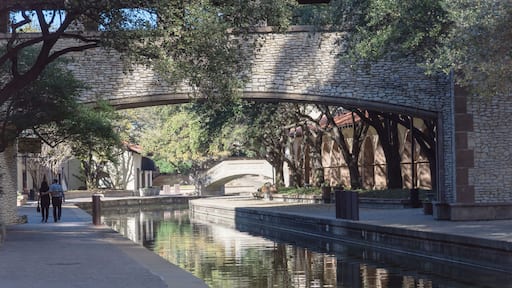 เออร์วิง