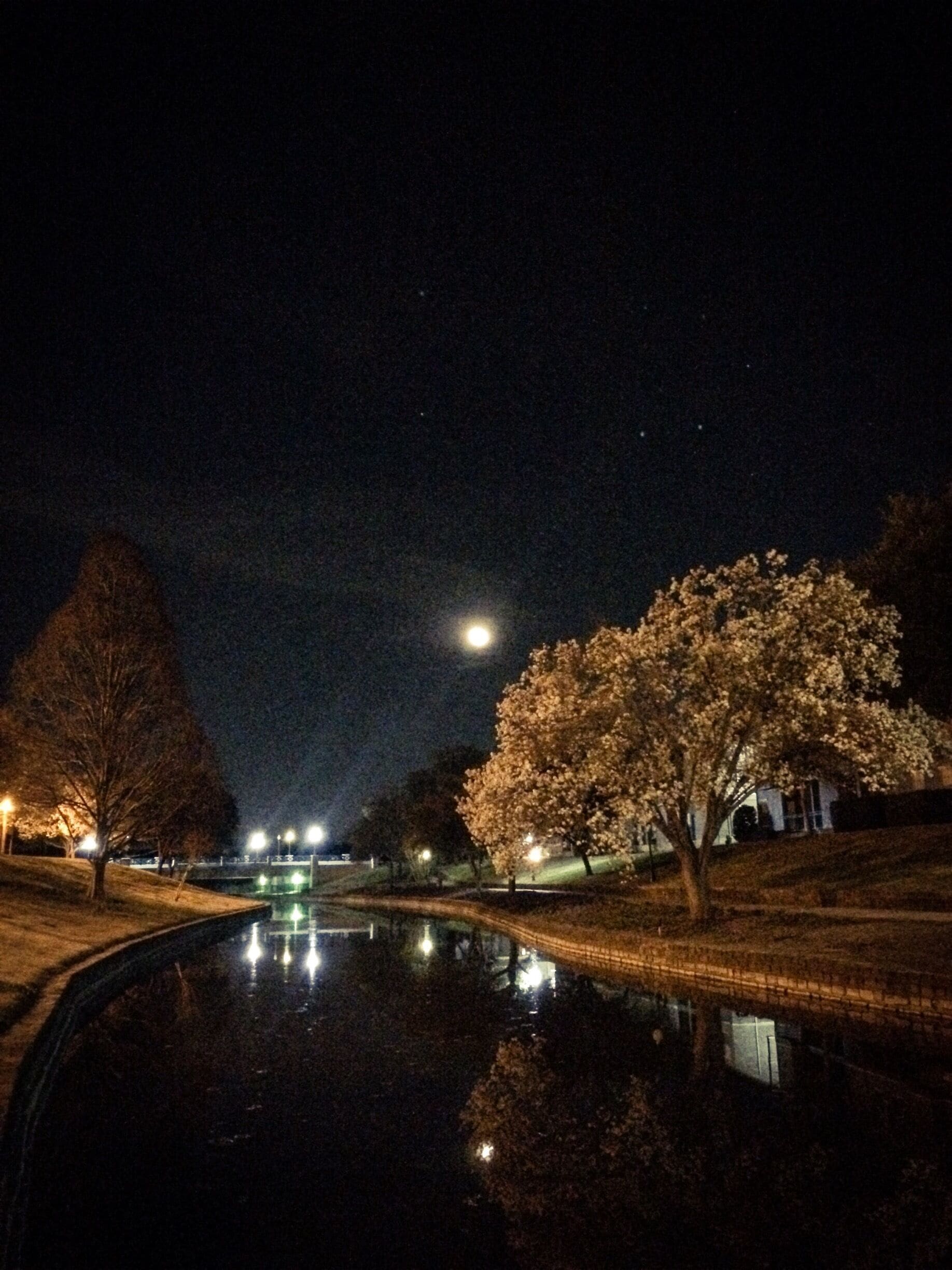 There are so many wonderful trails in the area. I love the way they look at night.
