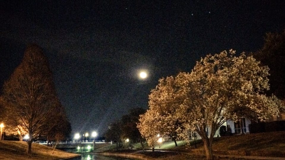 There are so many wonderful trails in the area. I love the way they look at night.