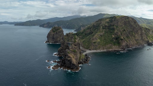 เฟลตเชอร์