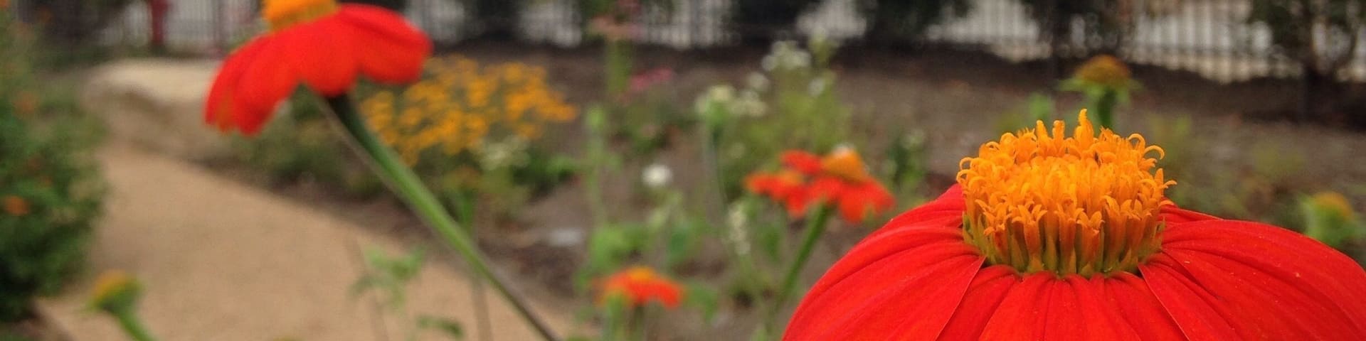 The Garden at Sierra Nevada Asheville.