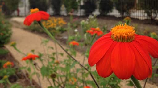The Garden at Sierra Nevada Asheville.