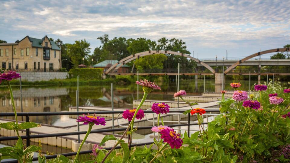 A bridge over a body of water, surrounded by greenery and flowers.