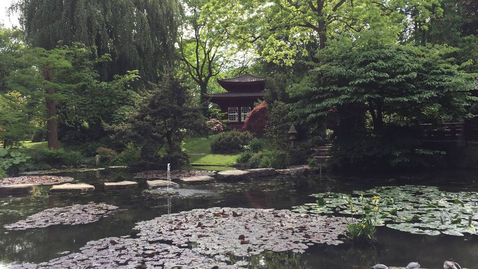 A serene pond with lily pads and a traditional pagoda in a lush garden.