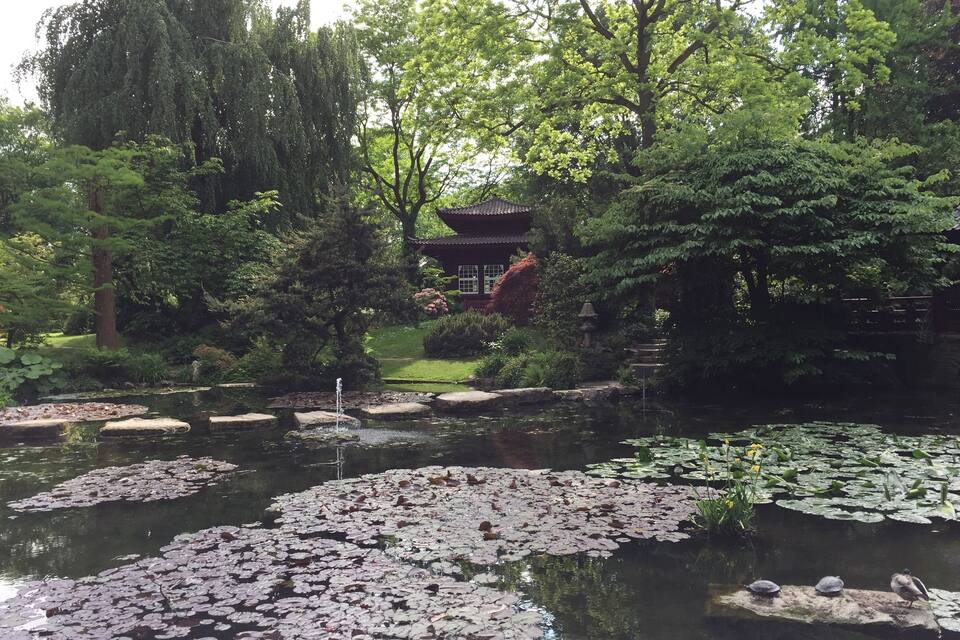 A serene pond with lily pads and a traditional pagoda in a lush garden.