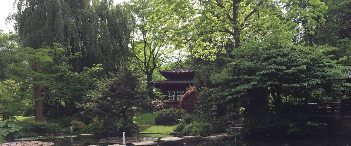 A serene pond with lily pads and a traditional pagoda in a lush garden.