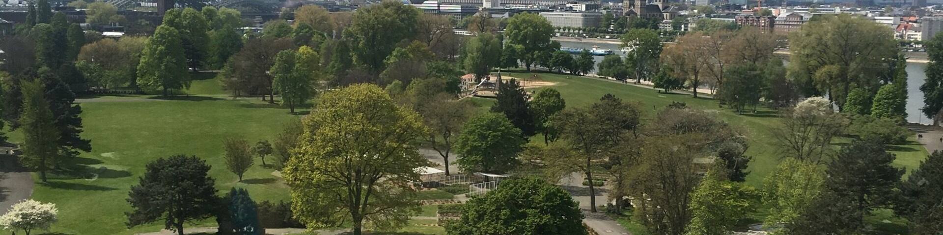 You see the Cologne cathedral in the background and the Rheinpark in the front, a local recreation area beside the river Rhine.