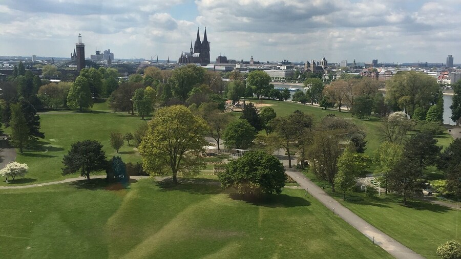 You see the Cologne cathedral in the background and the Rheinpark in the front, a local recreation area beside the river Rhine.