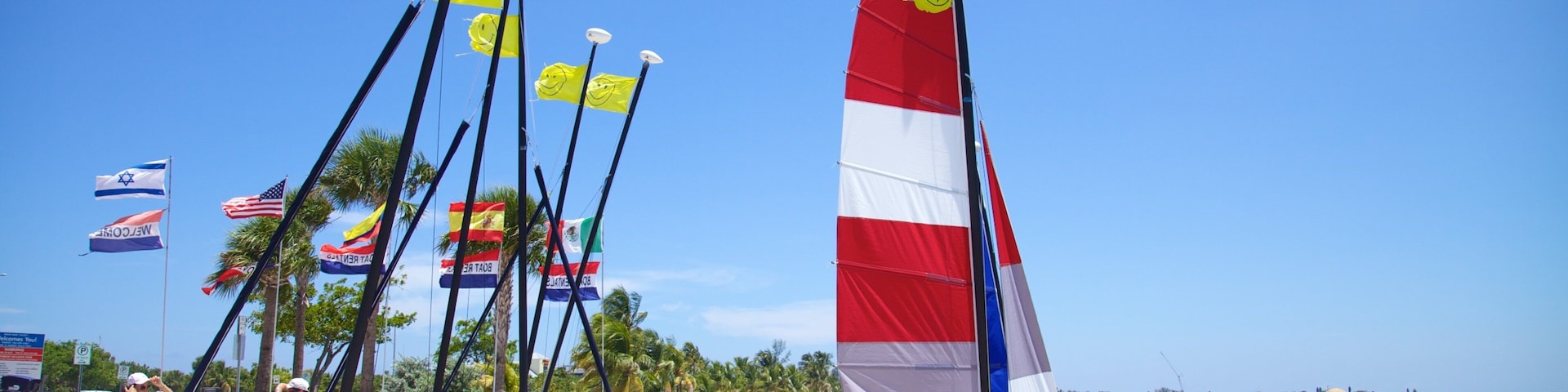 Sunlit Key Biscayne beach with colorful sailboats and vibrant flags on a clear day in Florida