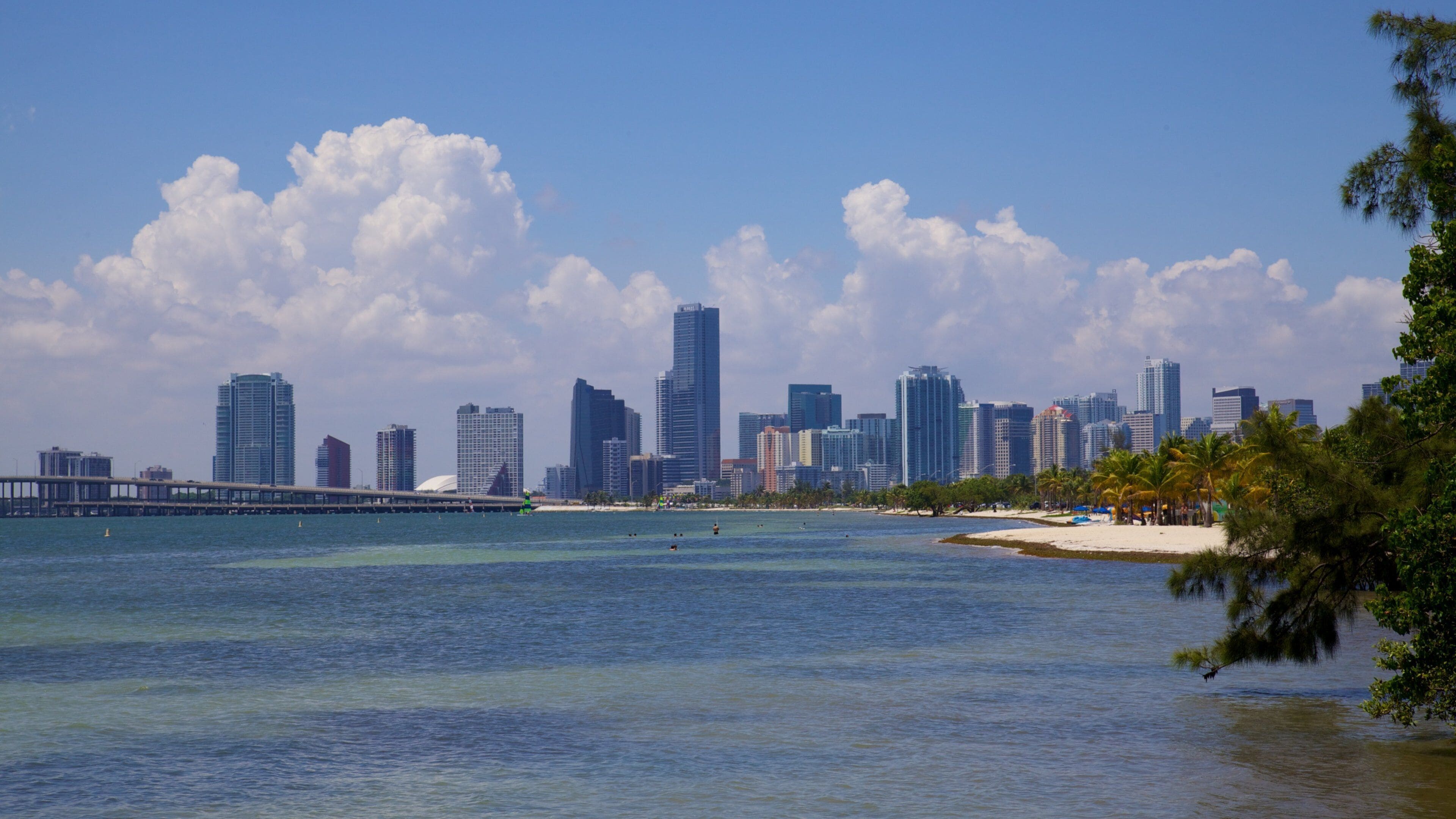 A coastal city skyline with a bridge, palm trees, and a beach.