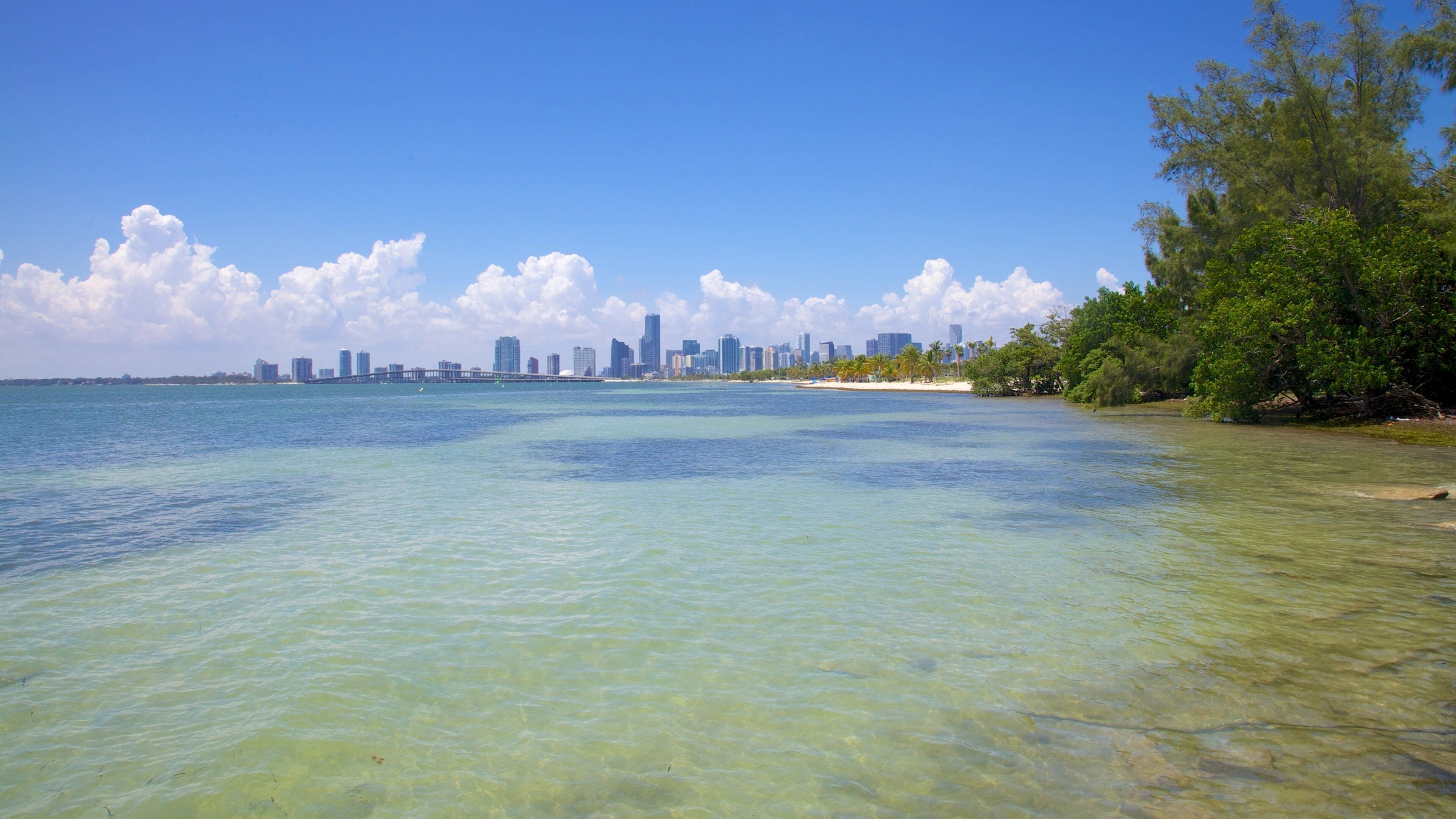 A coastal city skyline with clear turquoise waters and a sandy beach.