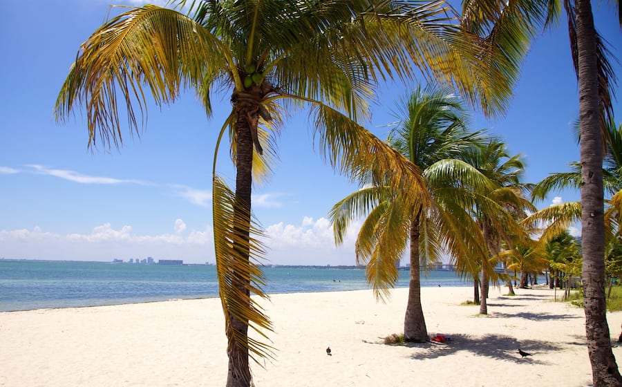 키 비스케인(Key Biscayne) 이미지