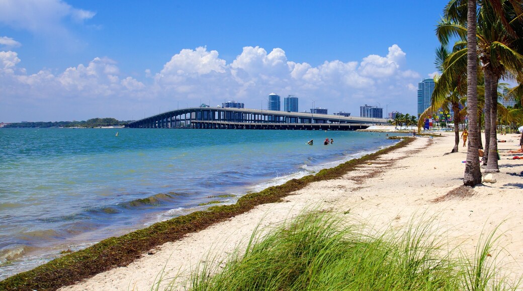 Key Biscayne showing tropical scenes, a sandy beach and a bridge