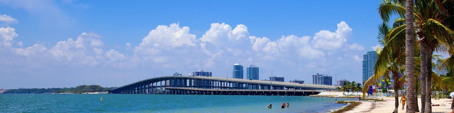 Key Biscayne showing tropical scenes, a sandy beach and a bridge