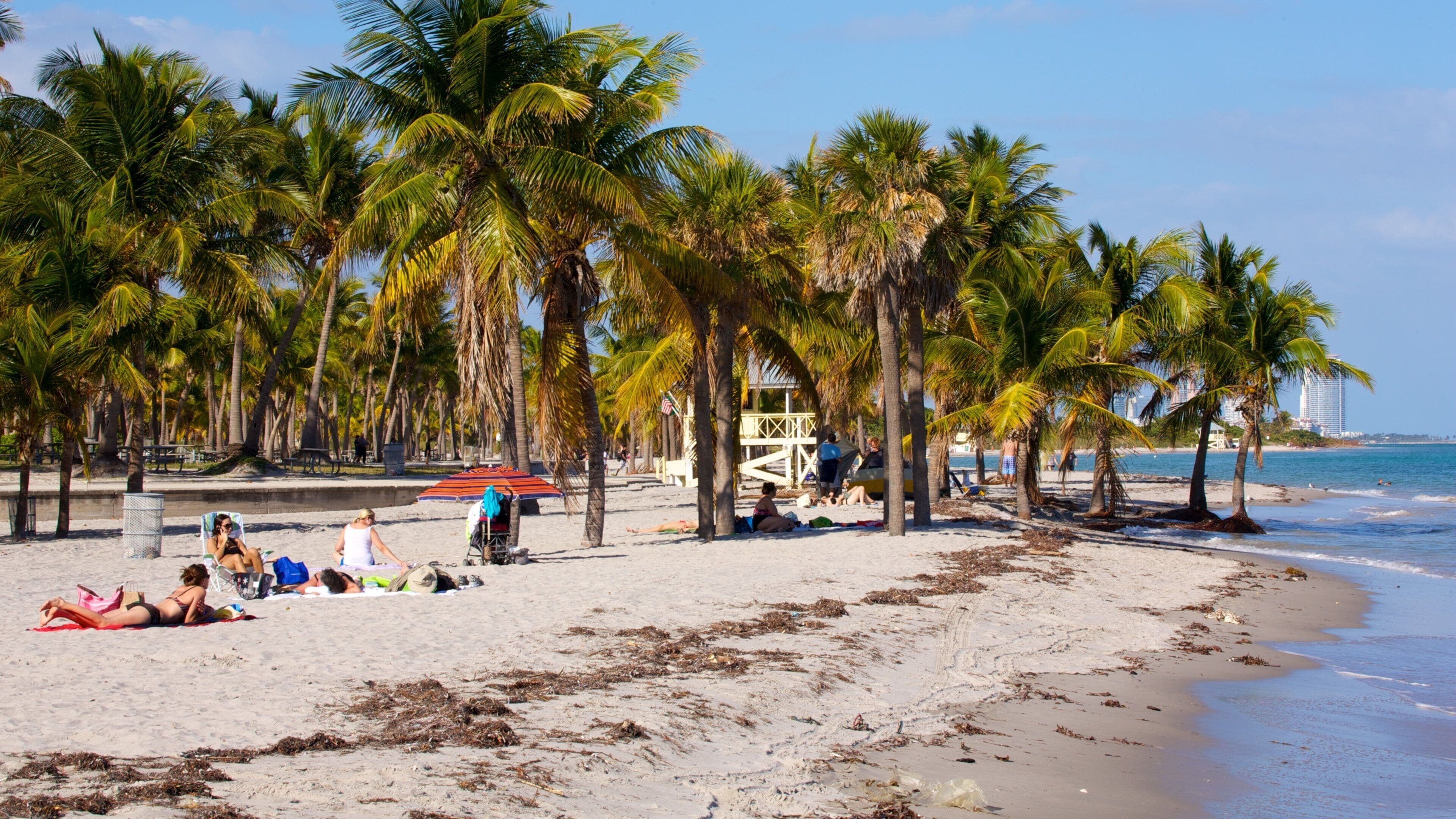 Sun-soaked Key Biscayne beach in Florida, with palm trees and visitors enjoying a relaxing day by the ocean