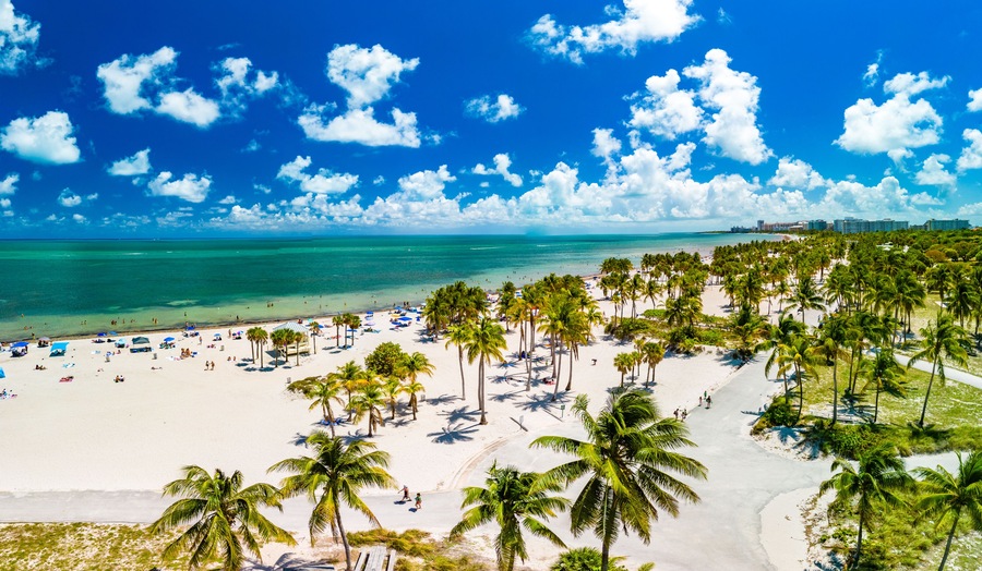 Una playa con palmeras, cielo azul despejado y océano.