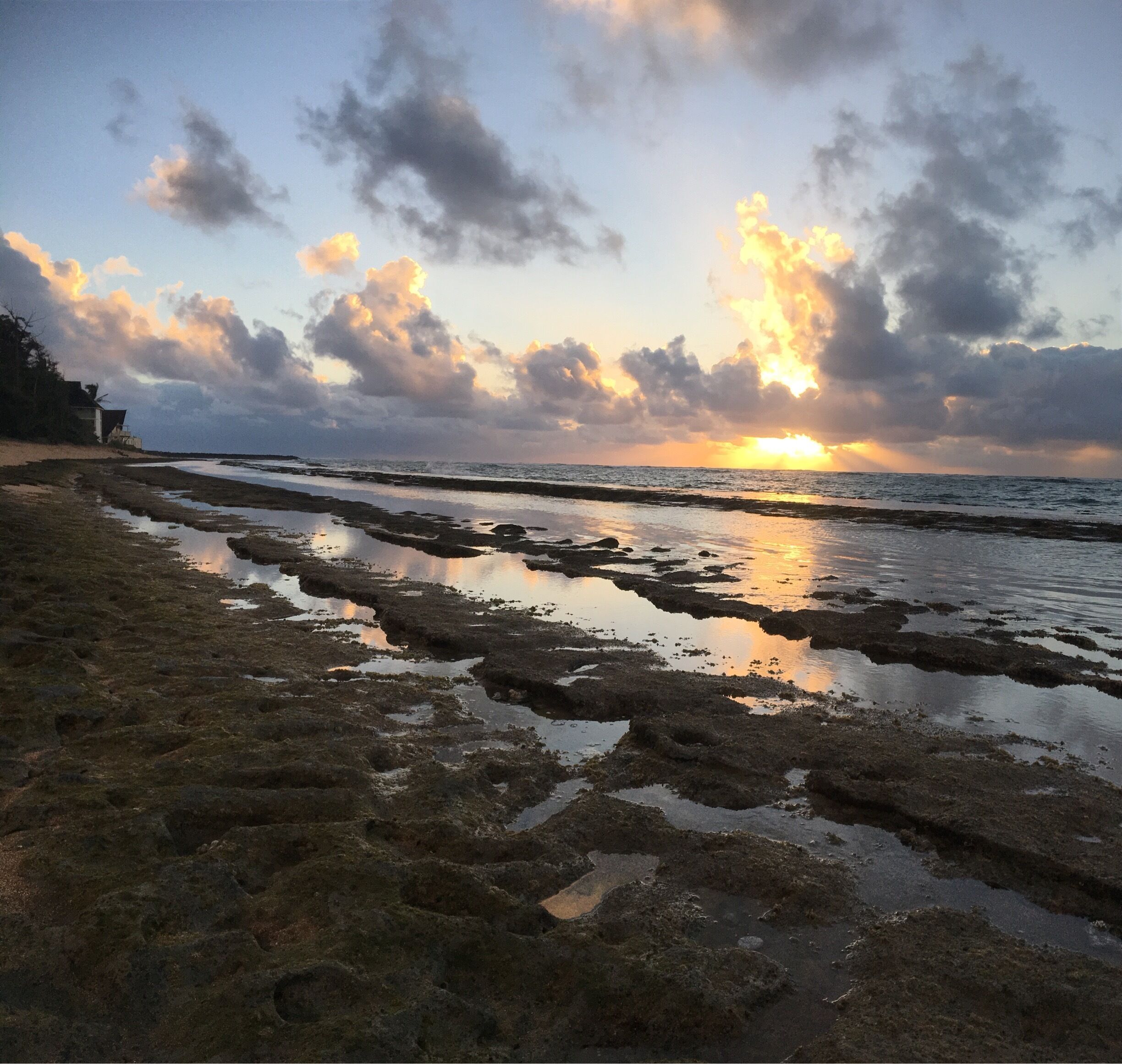 Kauai sunrise 💜🙌🏝